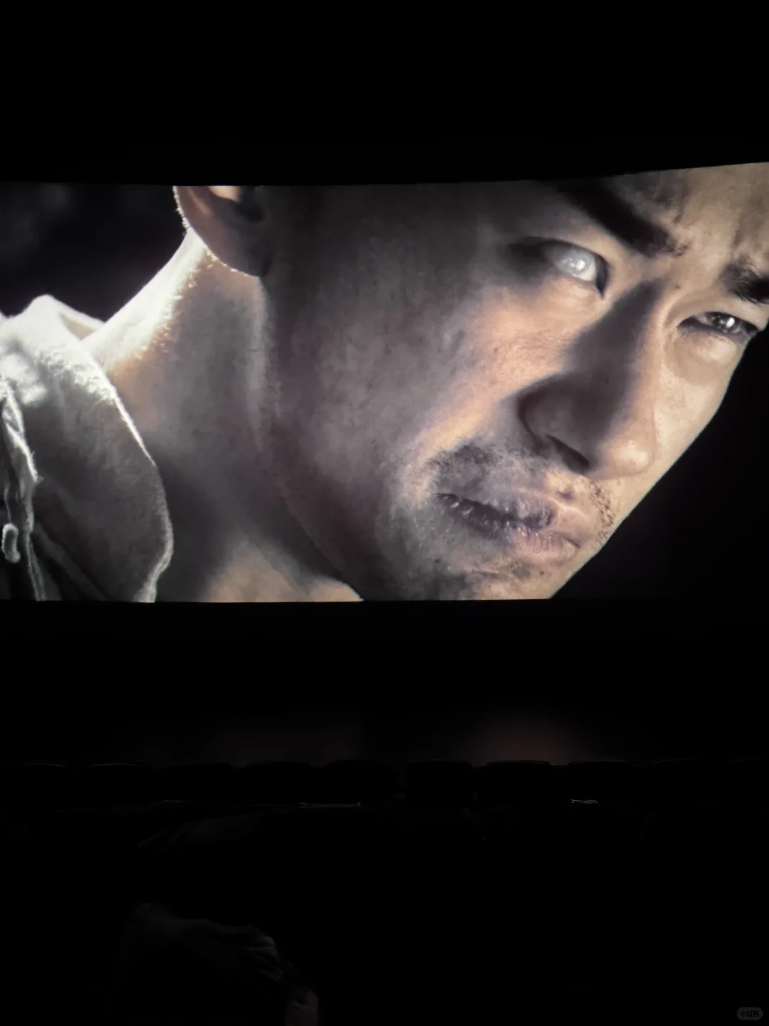 电影|酱园弄·悬案