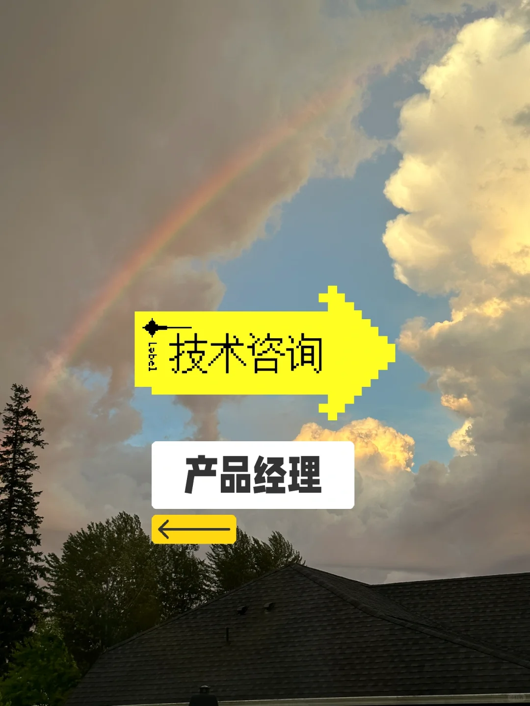 技术咨询vs产品经理 二选一