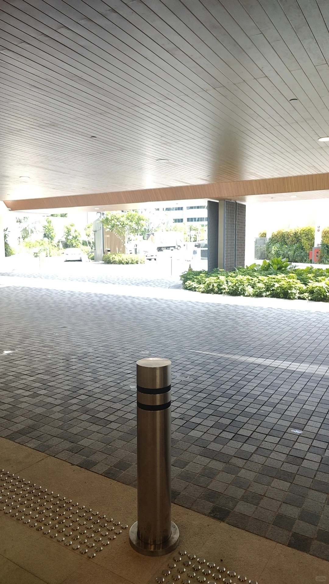 新加坡留子怎么打王者