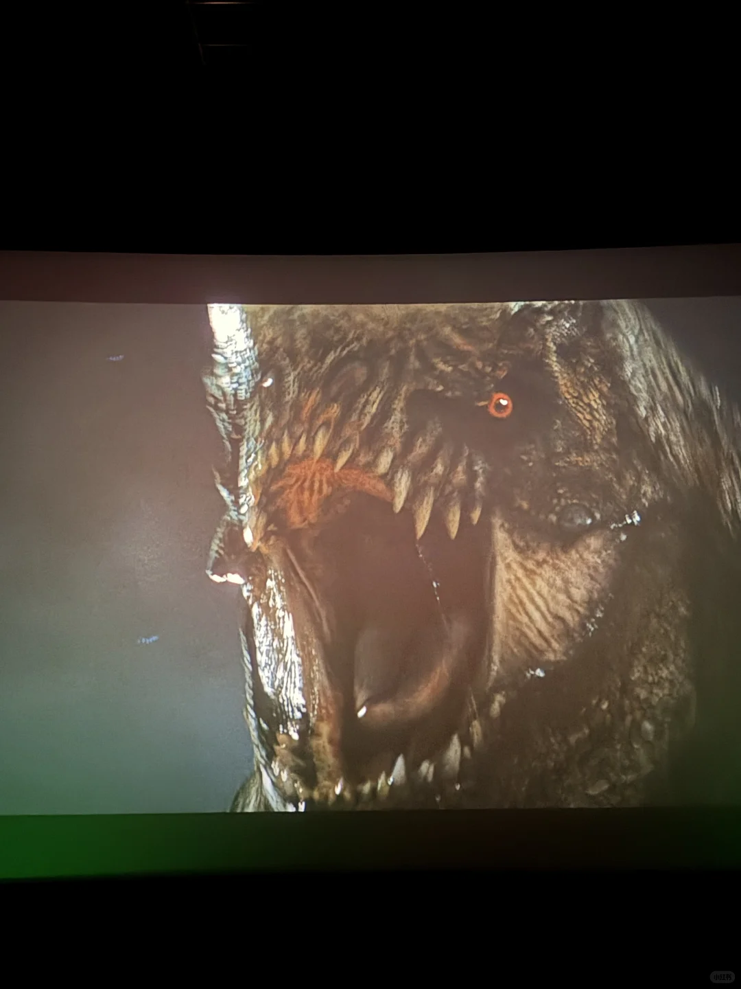 变异龙一言难尽…不来看又觉得不甘！