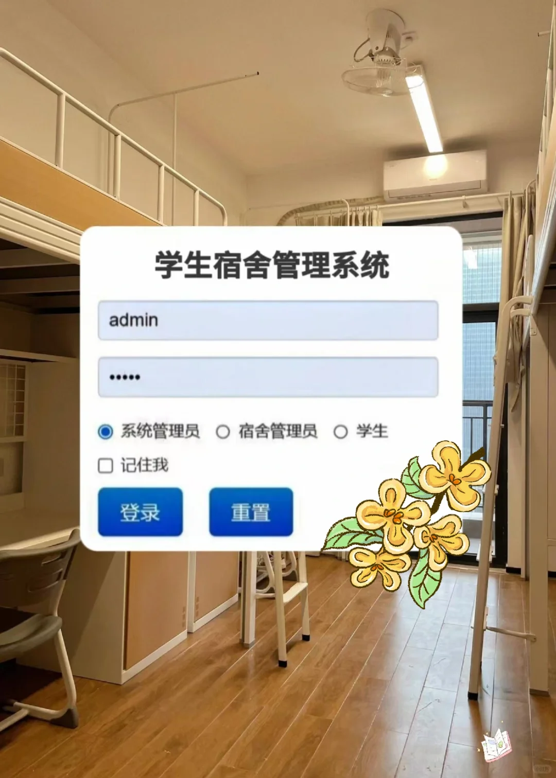 一周练完 55个java项目 附源码和视频