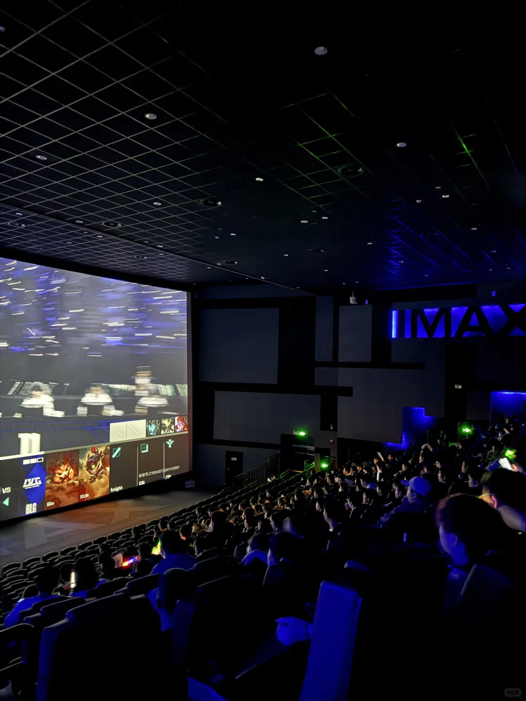 很久没在电影院看到这么多人了