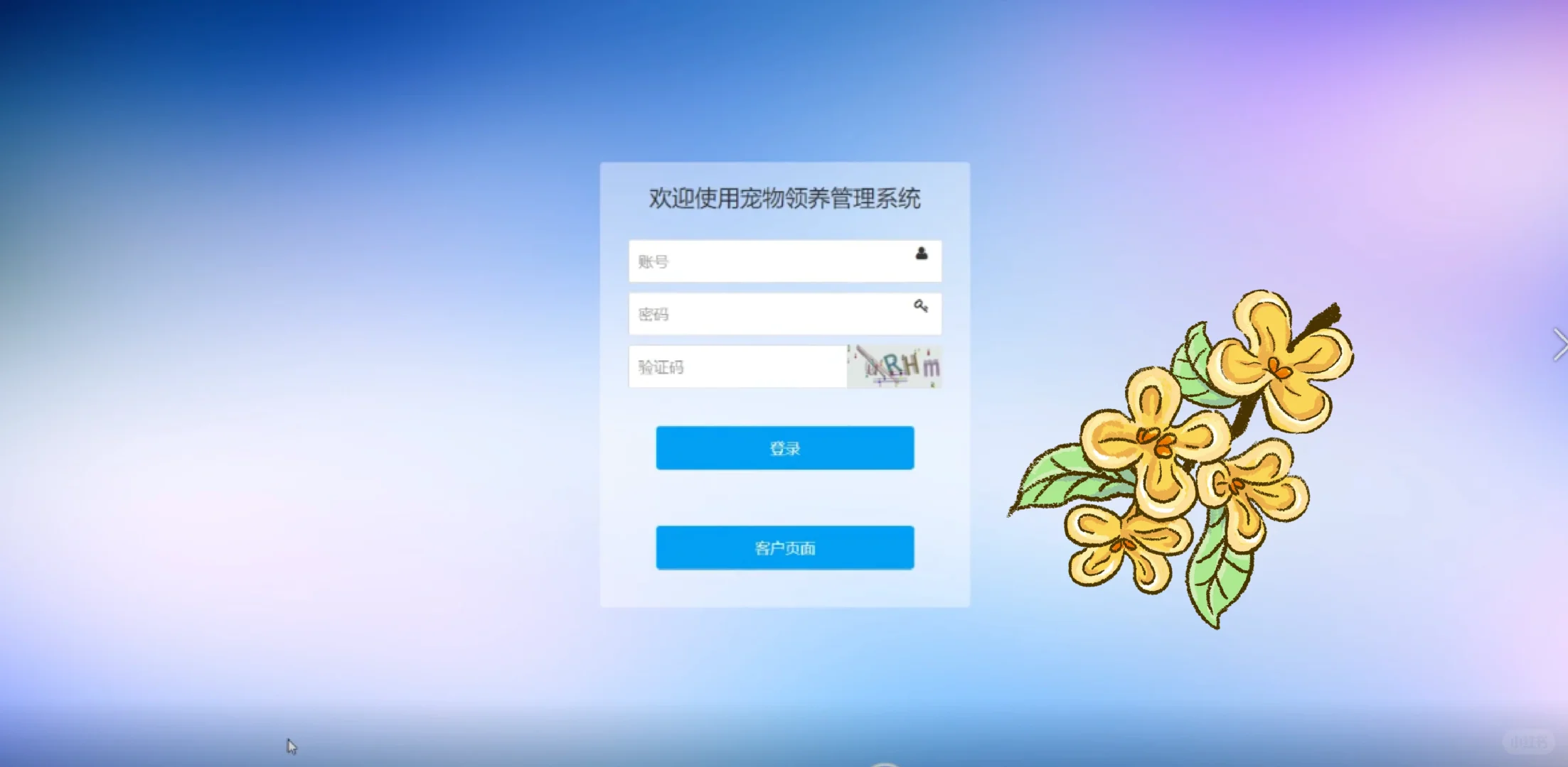 一周练完 55个java项目 附源码和视频