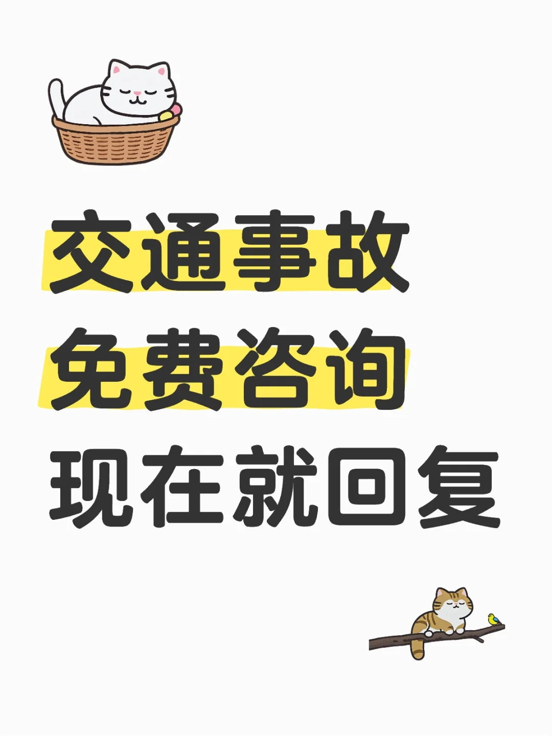 交通事故免费咨询，现在就回复