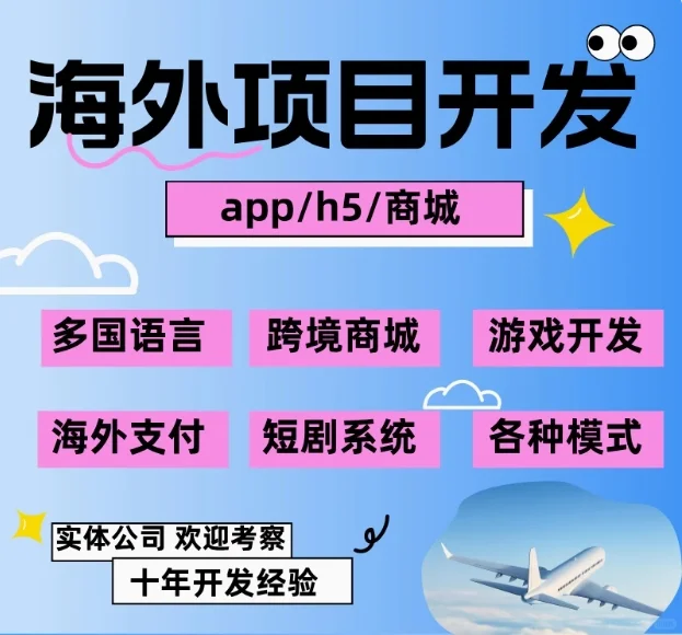 海外软件项目开发，程序开发