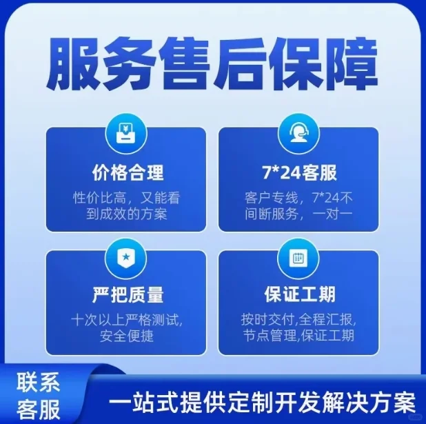 海外软件项目开发，程序开发