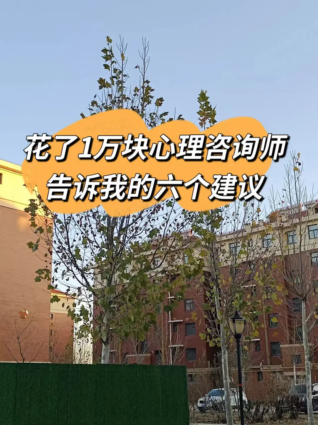 花了六位数做咨询后