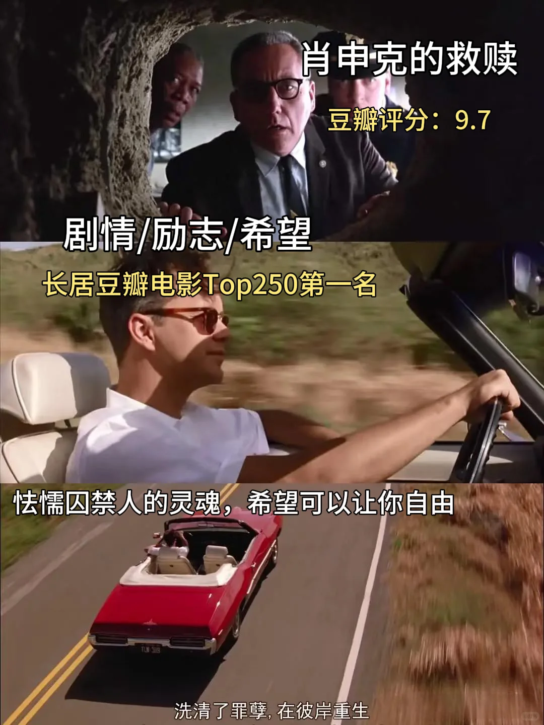 这个周末，挑一部电影，让自己沉浸其中吧