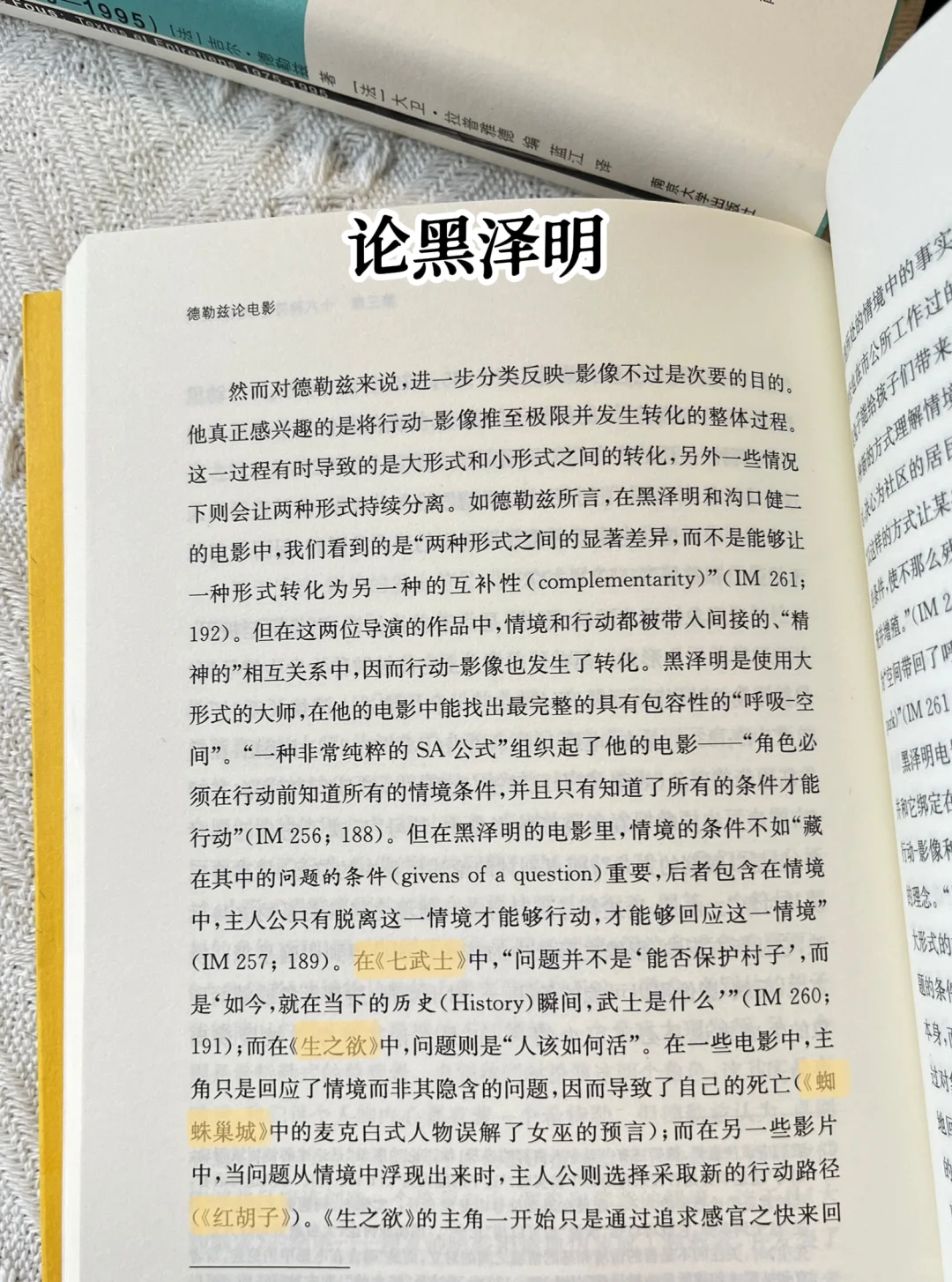 哲学家的“私藏片单”：跟着德勒兹看电影🎬