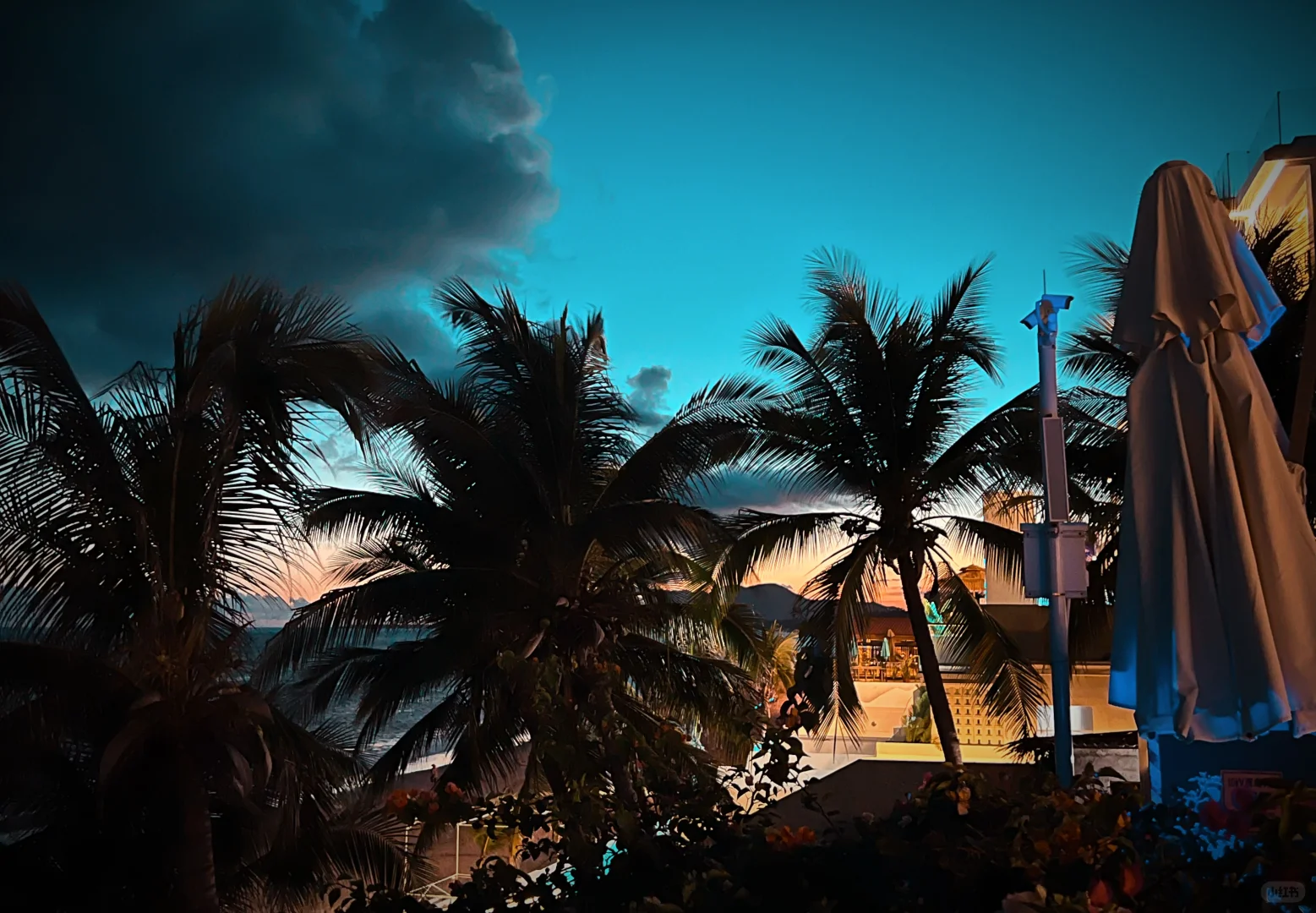 29岁,咨询顾问,这条路我再也不需要继续走了