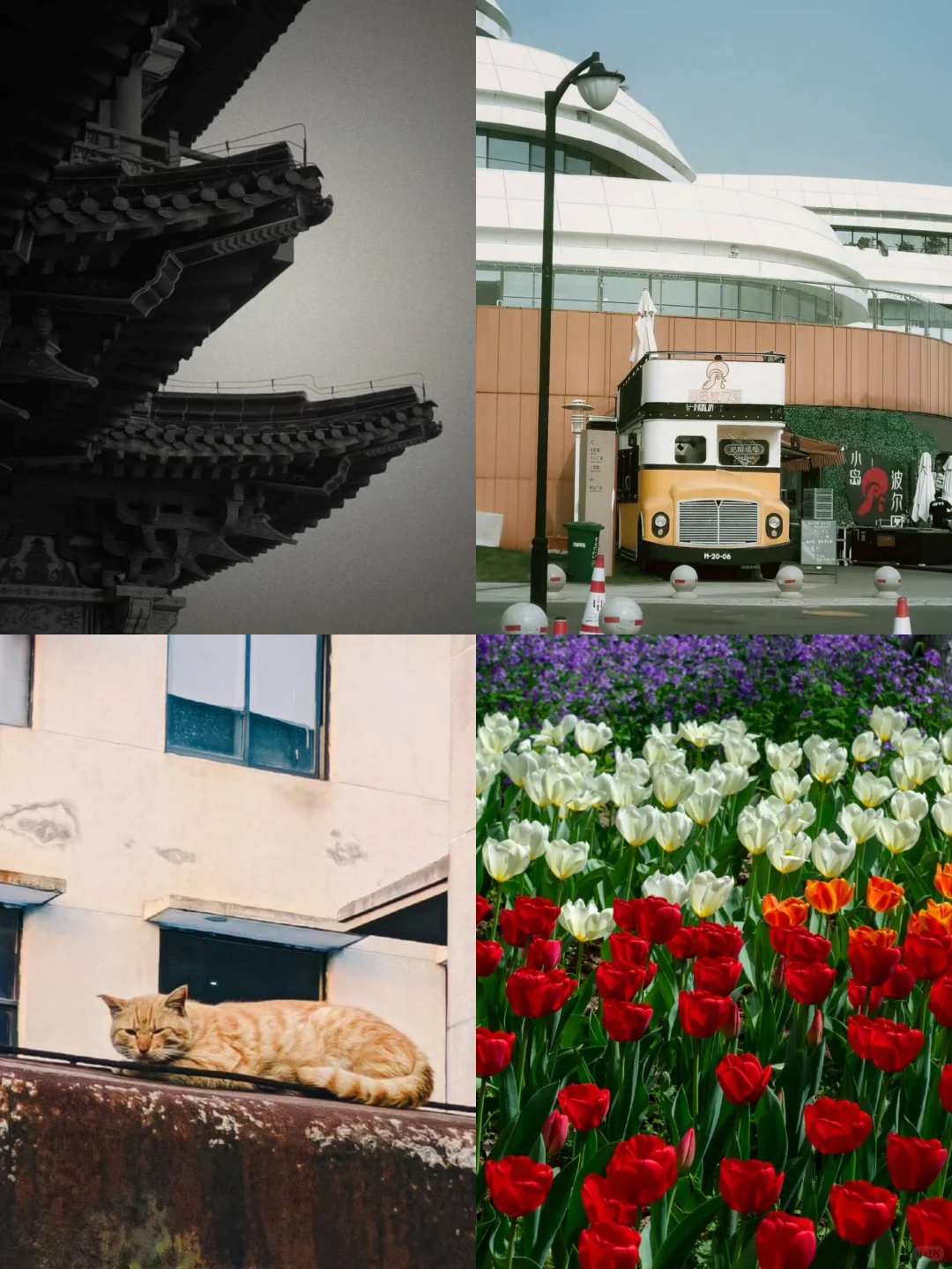 用过FIMO📷的人嘴可真严啊！