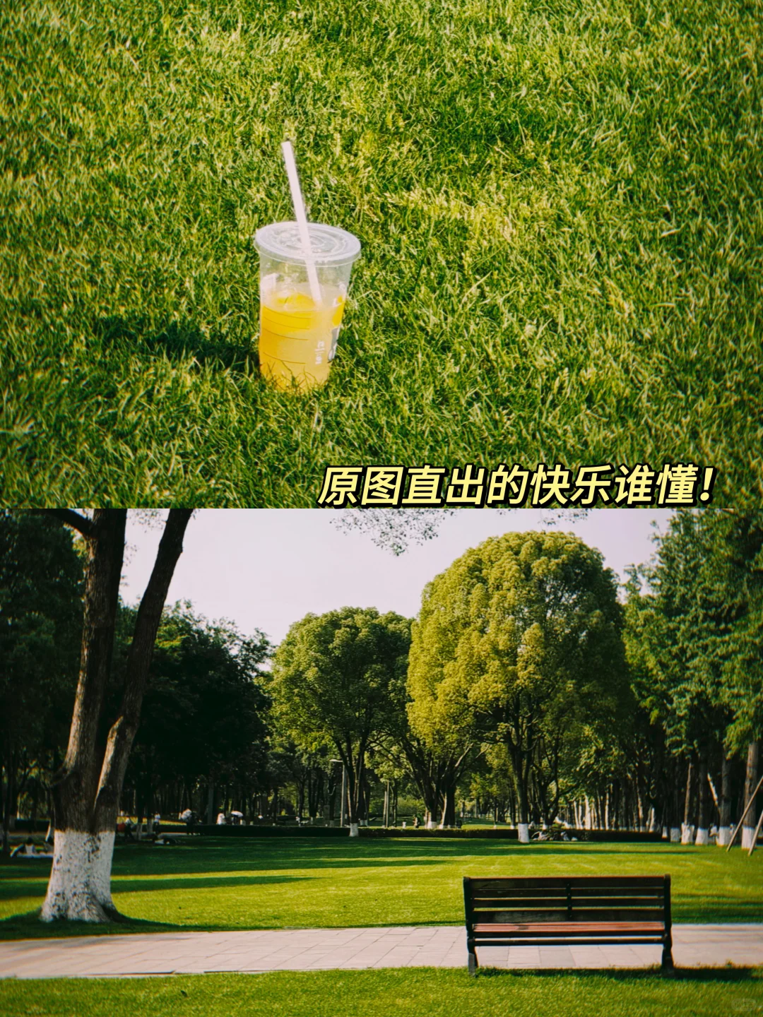 😱我以为dazz已经无敌了！直到用了......