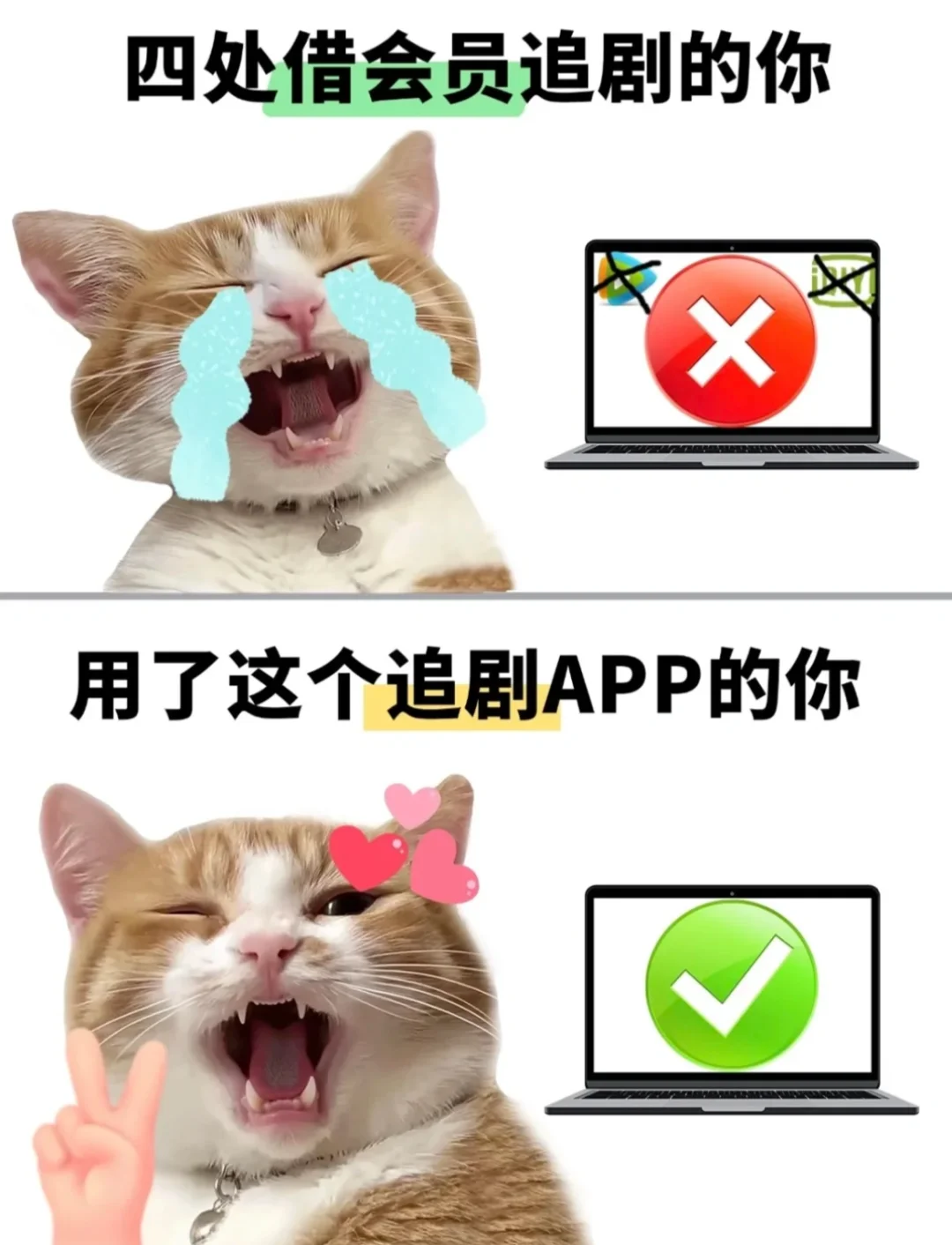 竟然有这么好的追剧软件！