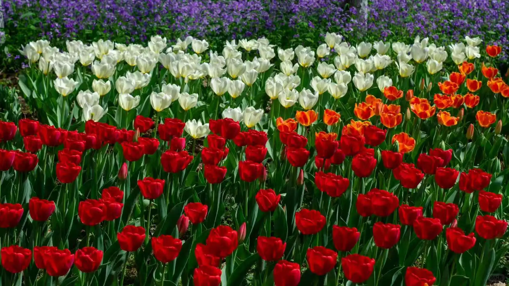 用过FIMO📷的人嘴可真严啊！