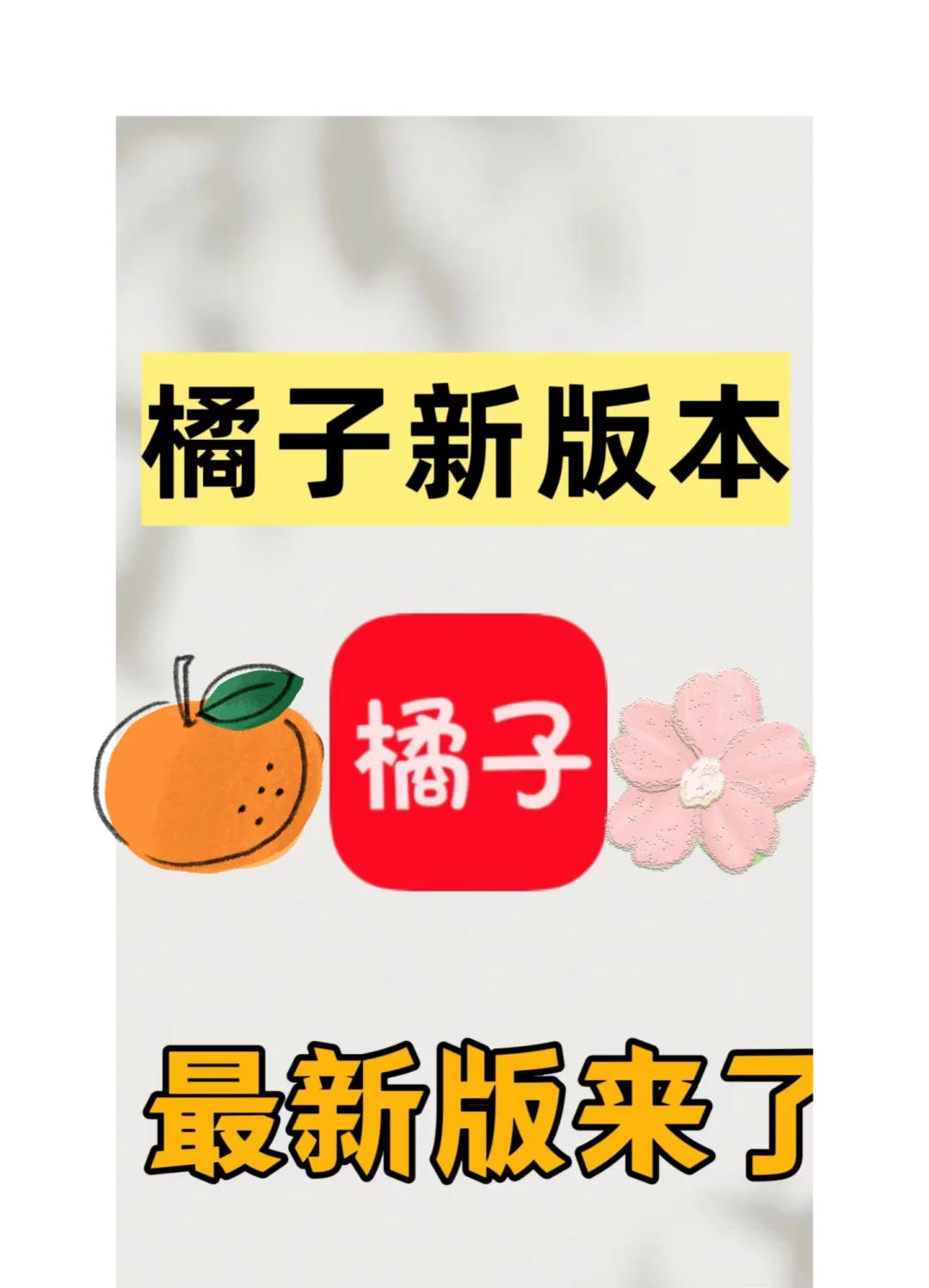 橘子新版本最新平替