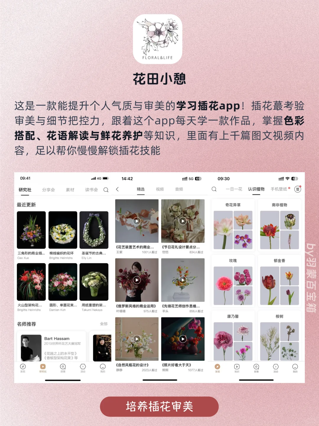 ❤️女生独处逆袭｜10个零基础自学才艺小众APP