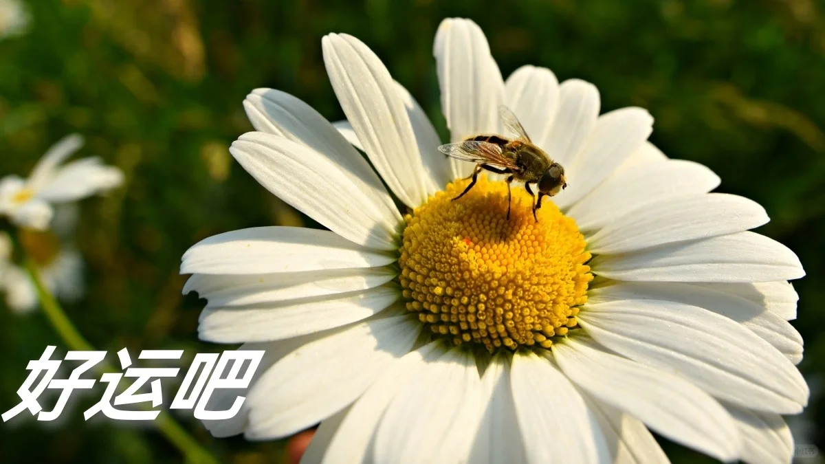 发现了一个好用的聊天软件