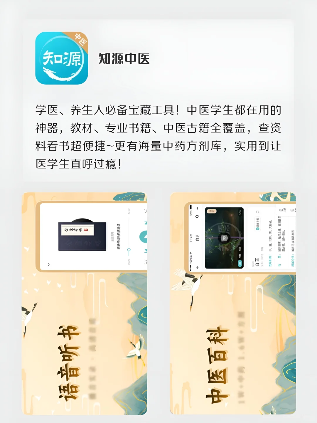 跪皮年轻人的花式养生必备APP🔥