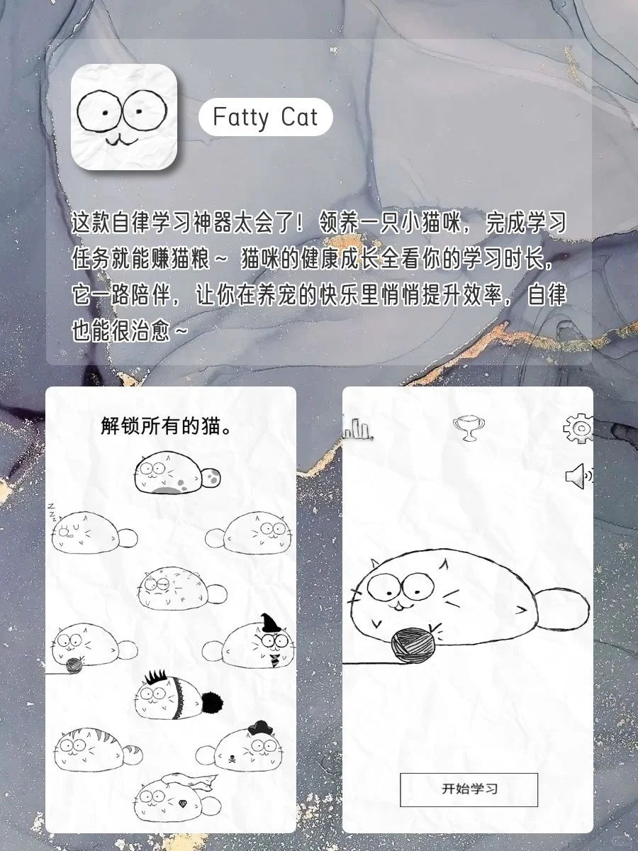 女生✨1%电量也要拥有APP‼️