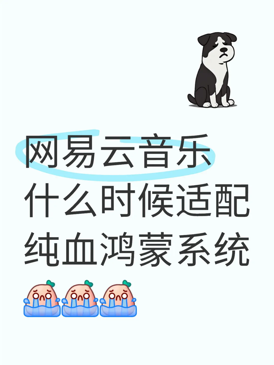 网易云音乐什么时候适配纯血鸿蒙系统