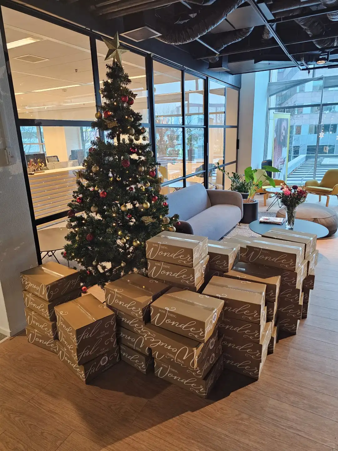 🇳🇱ng求职新思路｜IT咨询和agency