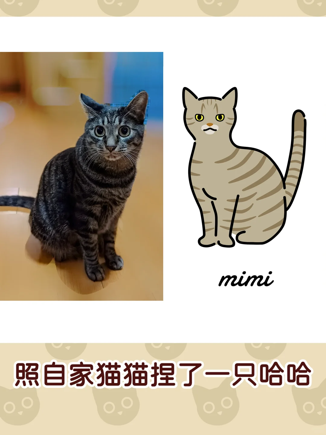 爱猫人快乐屋🏠❗快领养你的赛博猫猫们❗