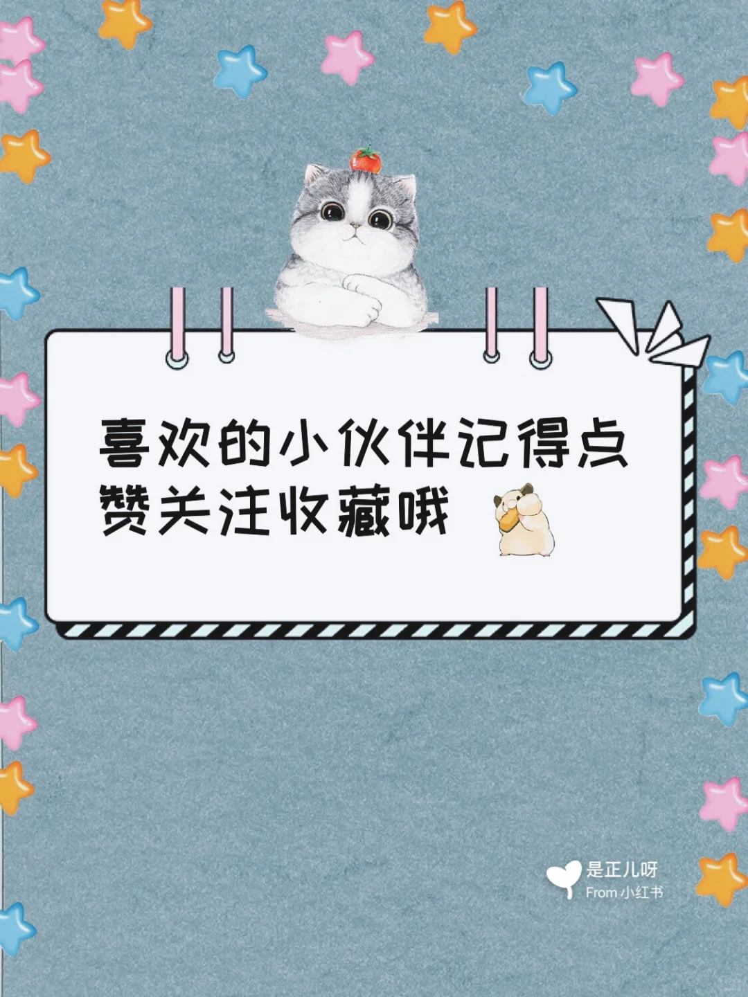 20款让人怦然心动💓的App｜你的📱是宝藏哦✌️