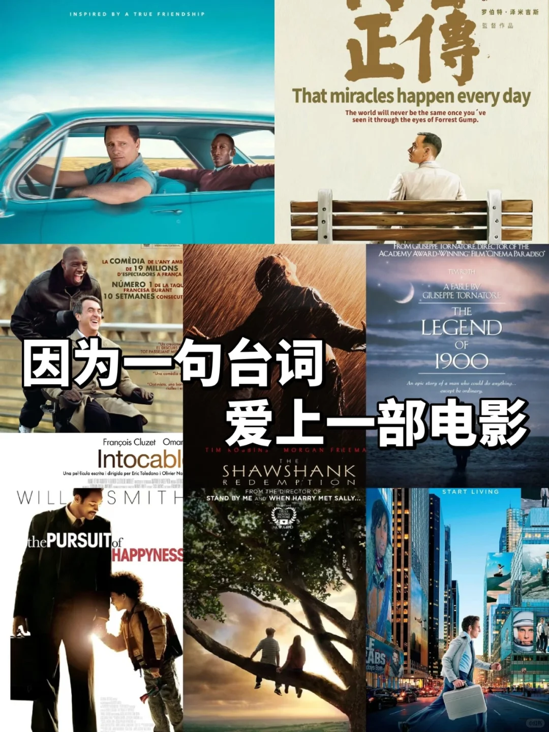 人生必看电影❗❗暑期必刷|||⭐️