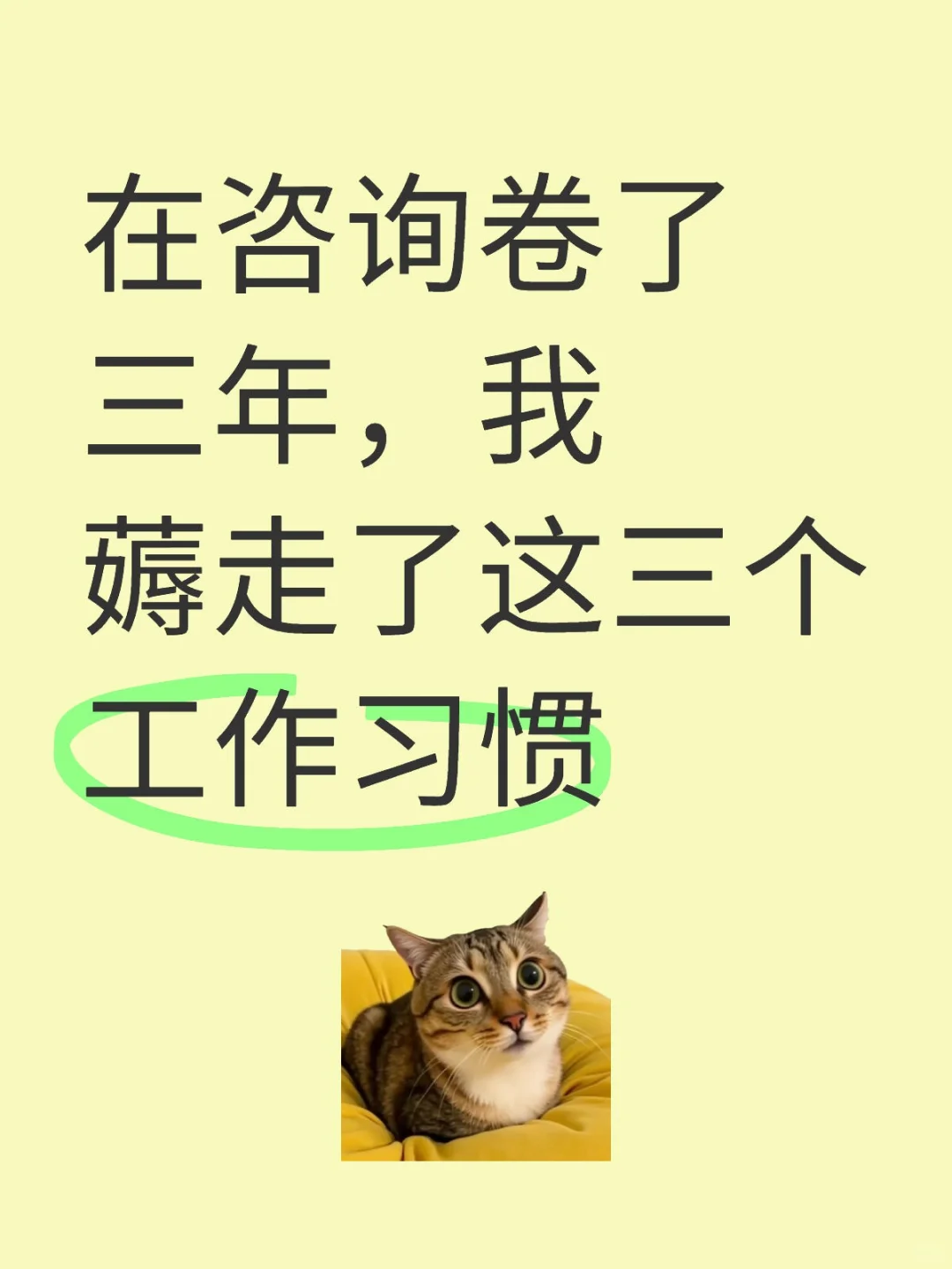 经历几百份报告毒打，我都学会了啥