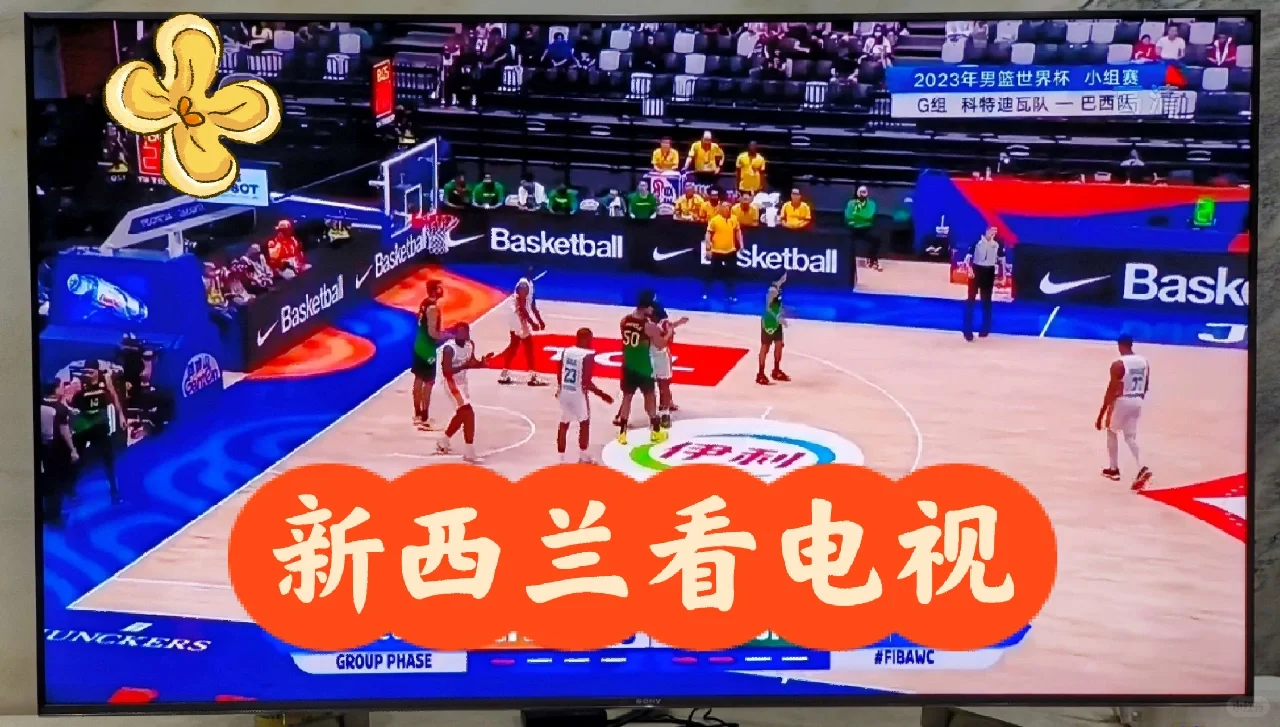 新西兰电视盒子挂了，天维找类似产品