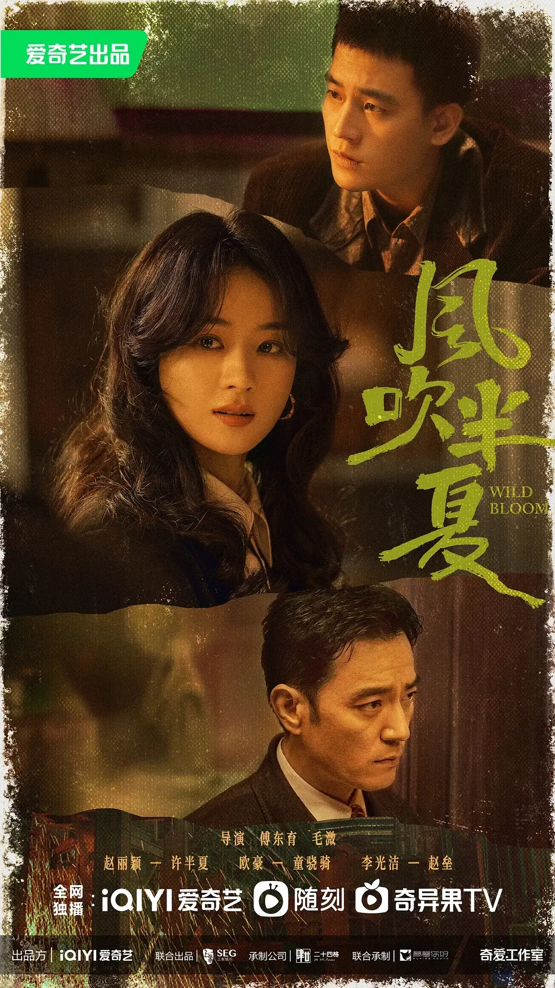 三大视频平台破万剧