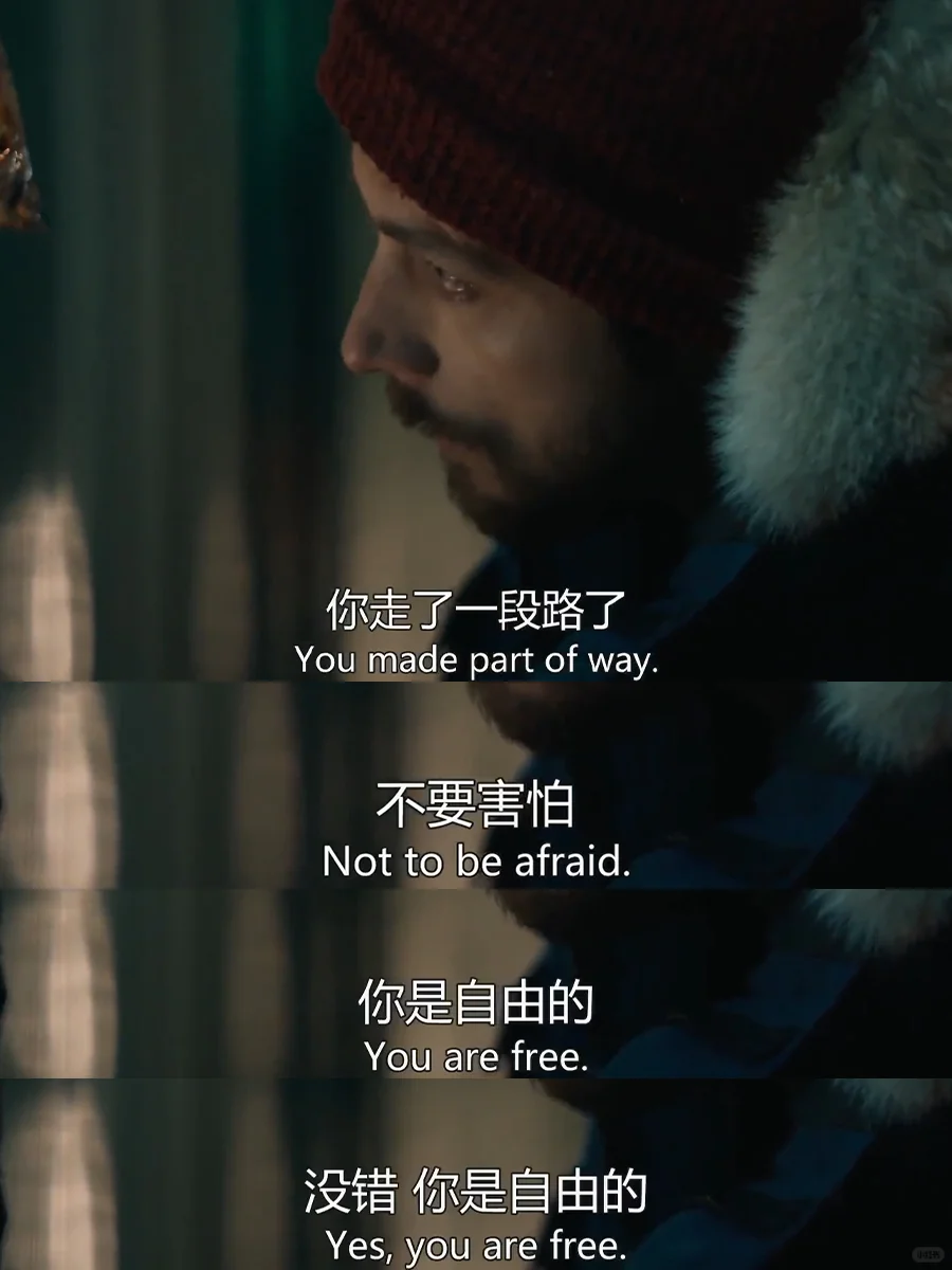 本人最爱的人生电影❗没有之一❗❗