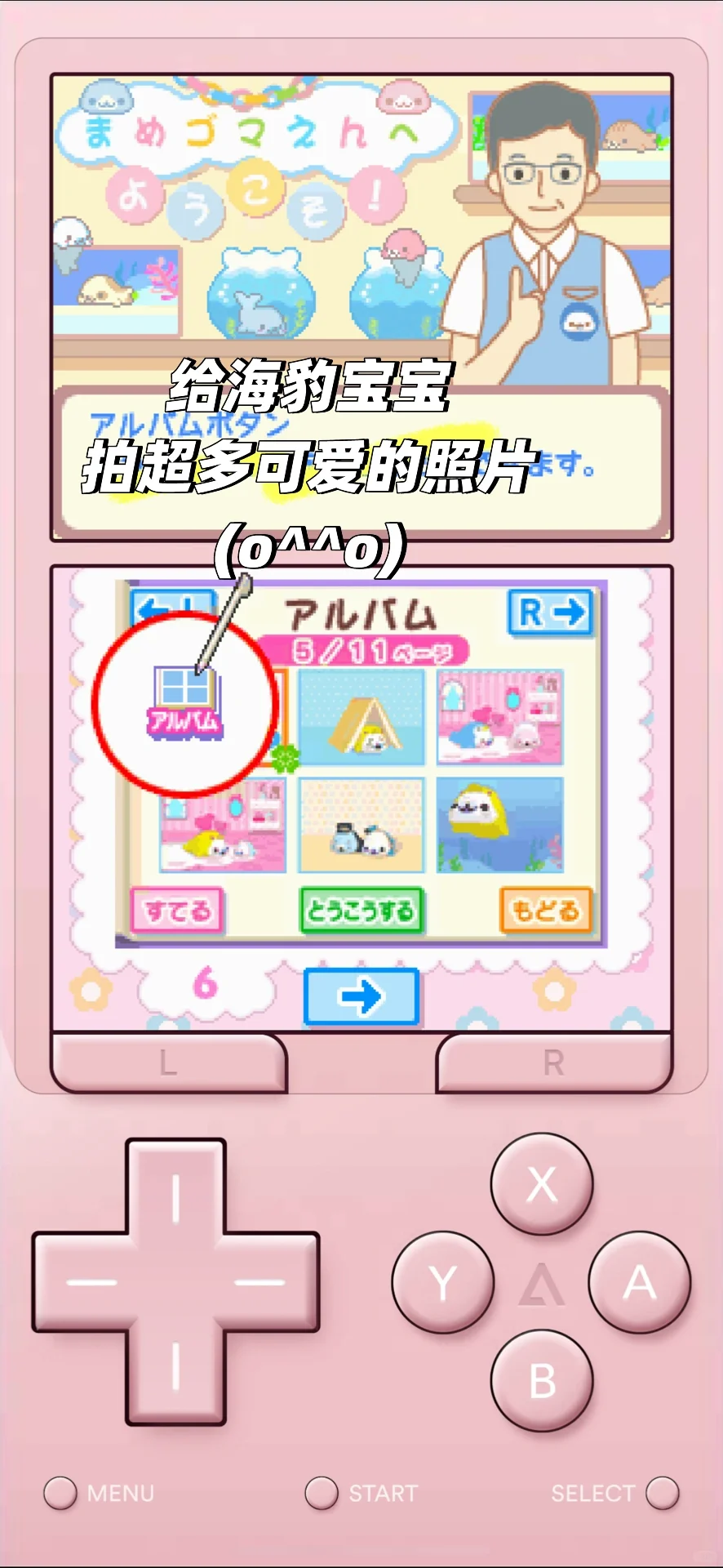 手机上也可以养的超萌的豆芝麻海豹宝宝游戏