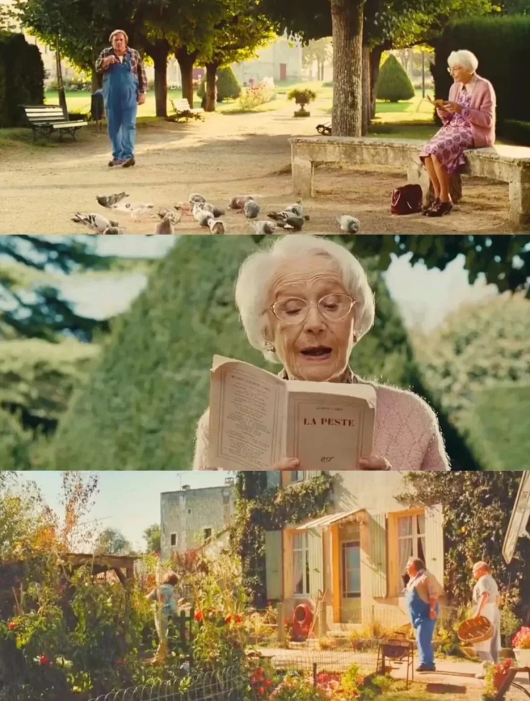 9.9分神作❗️这部治愈电影让我哭成狗🐶 💖