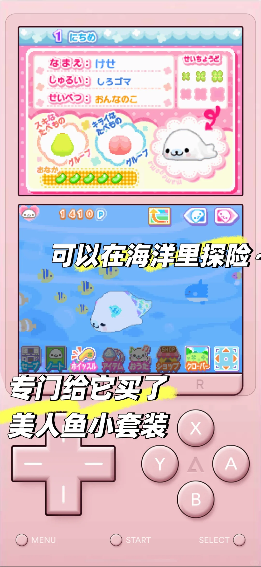 手机上也可以养的超萌的豆芝麻海豹宝宝游戏