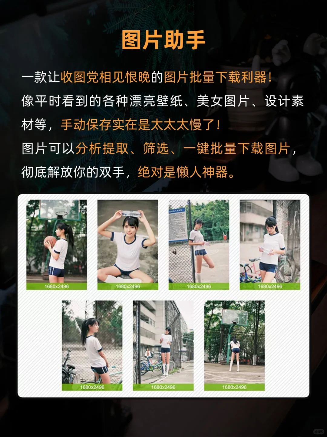 8款Edge浏览器神级插件㊙️颠覆认知🔥