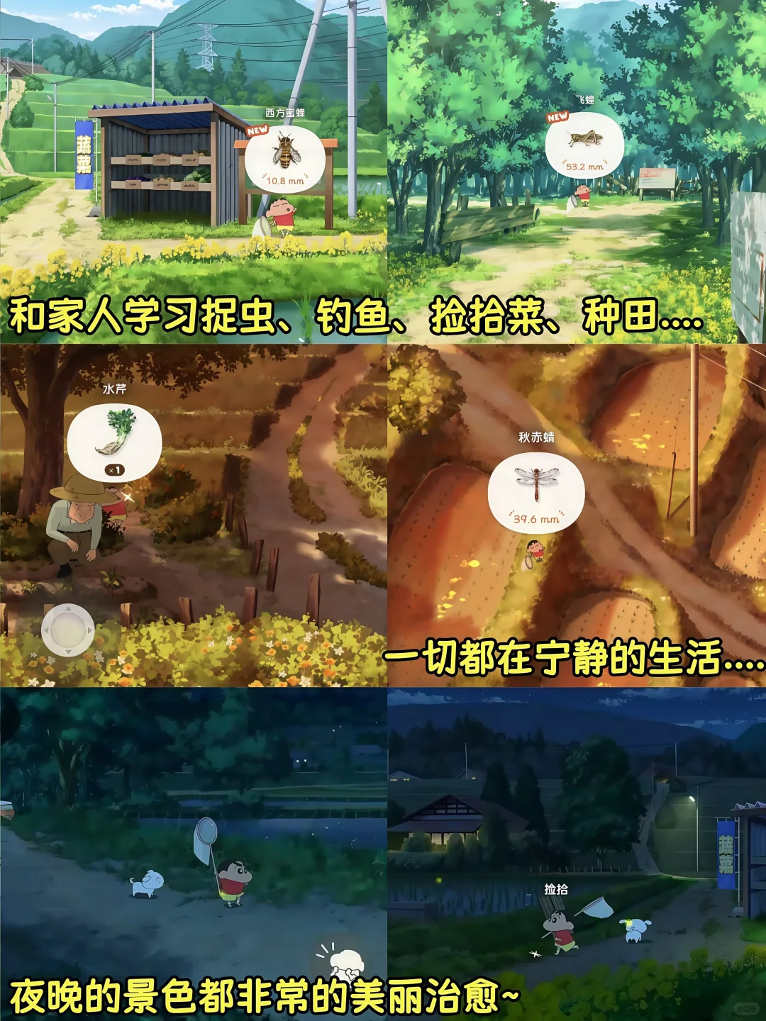 蜡笔小新新游戏🔥煤炭镇的小白正式版❤️‍🔥