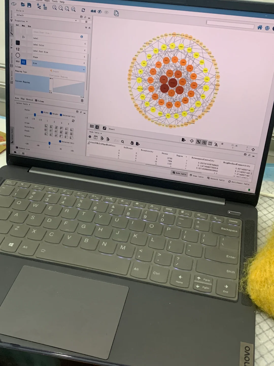 凌晨四点，cytoscape，真有你的