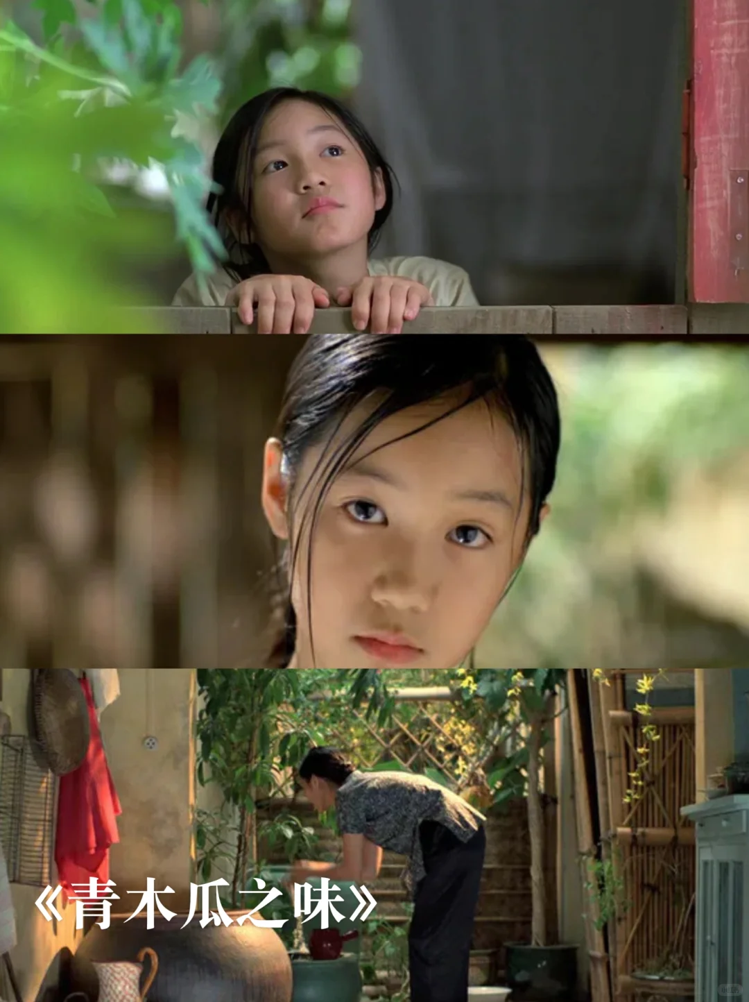 12部适合夏天宅家看的美学治yu电影