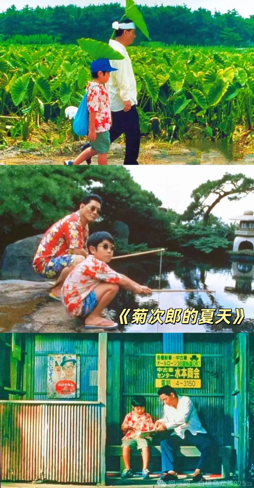 ☀️夏日亲子观影 十部解暑必看电影