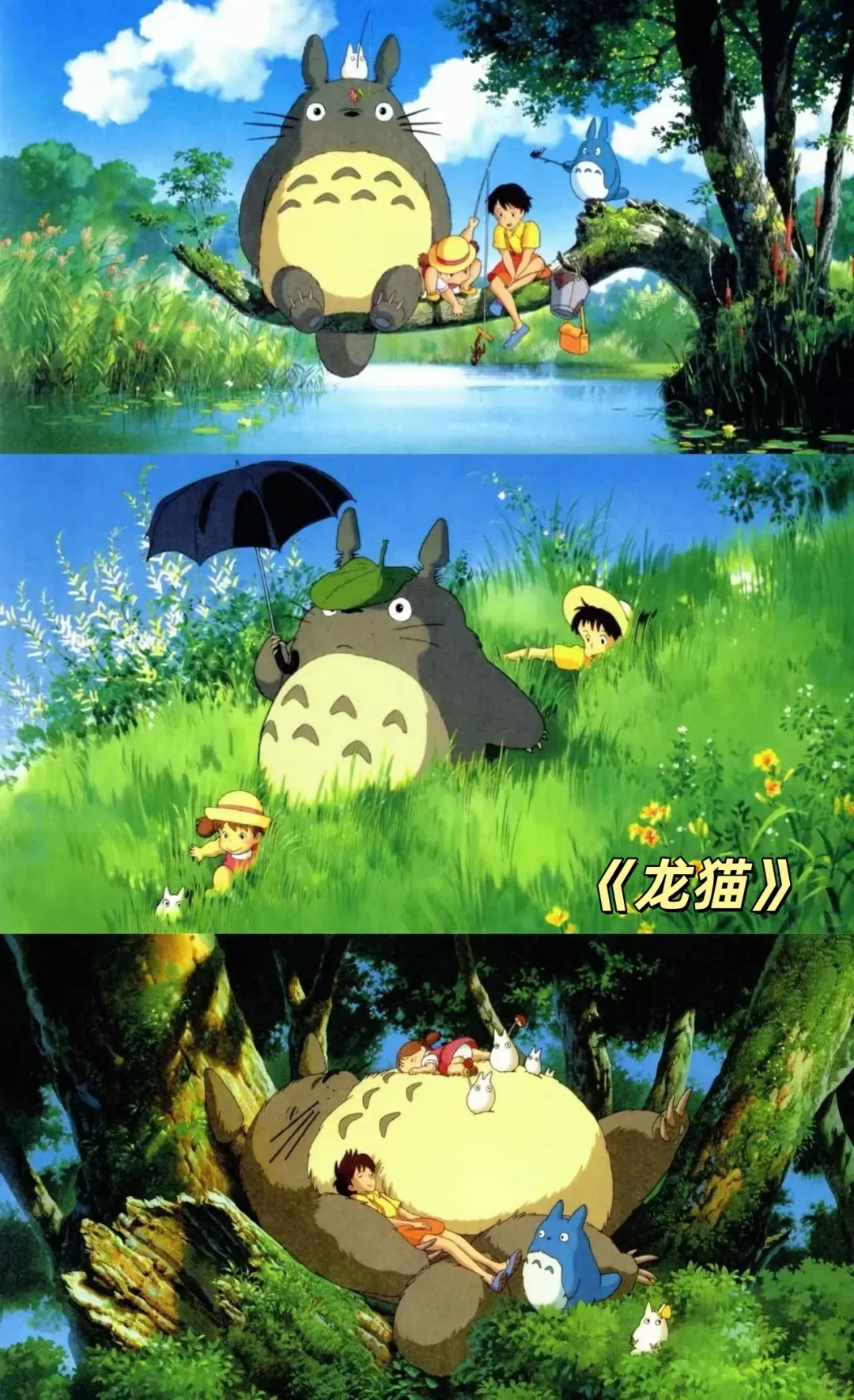 ☀️夏日亲子观影 十部解暑必看电影