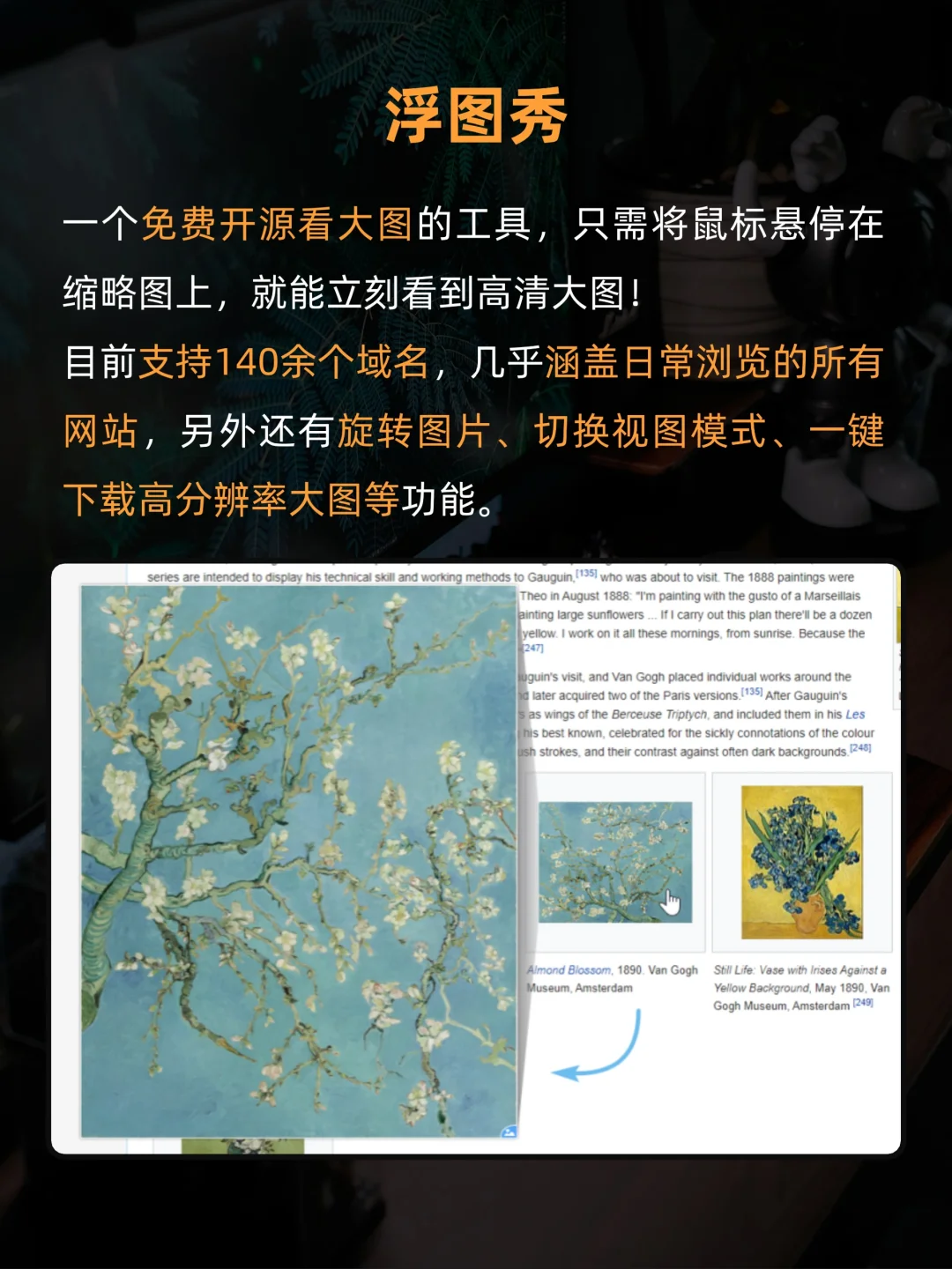 8款Edge浏览器神级插件㊙️颠覆认知🔥