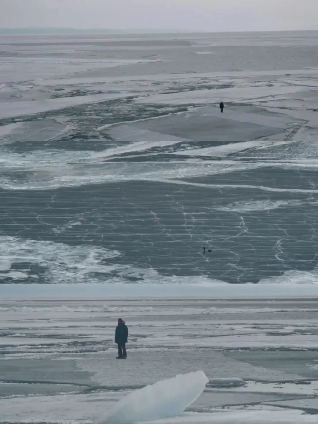 今年最爱的人生电影😭没有之一❗❗❗