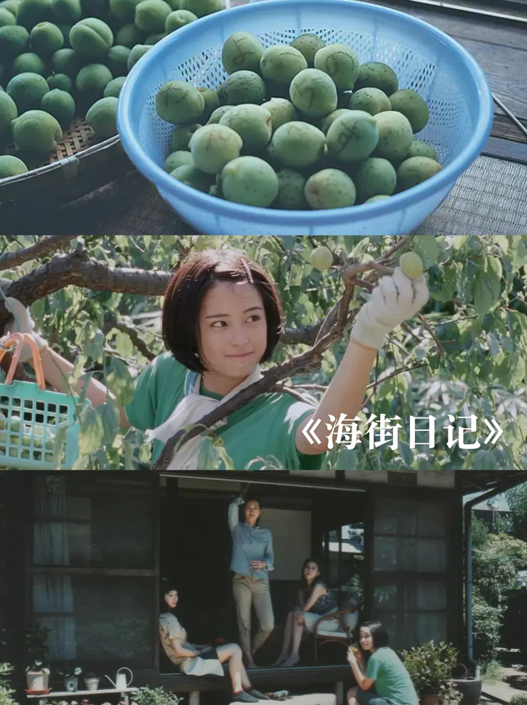 12部适合夏天宅家看的美学治yu电影