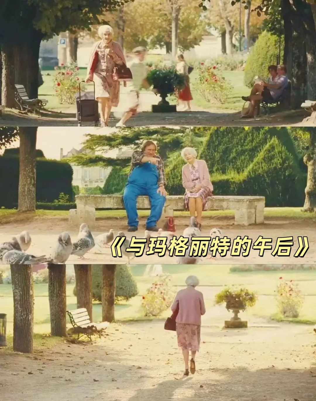 ☀️夏日亲子观影 十部解暑必看电影