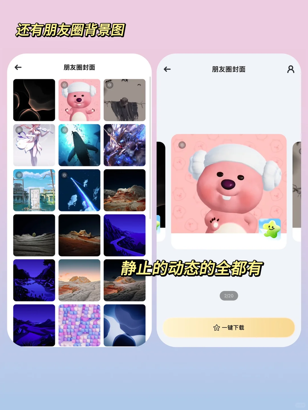 小众壁纸神器‼️从此实现手机壁纸自由
