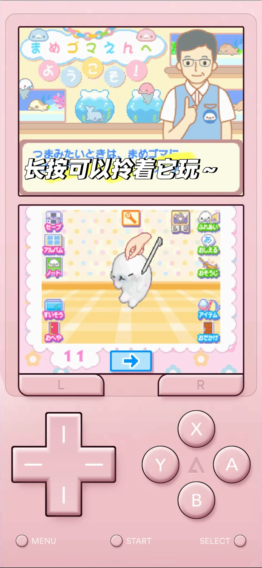 手机上也可以养的超萌的豆芝麻海豹宝宝游戏