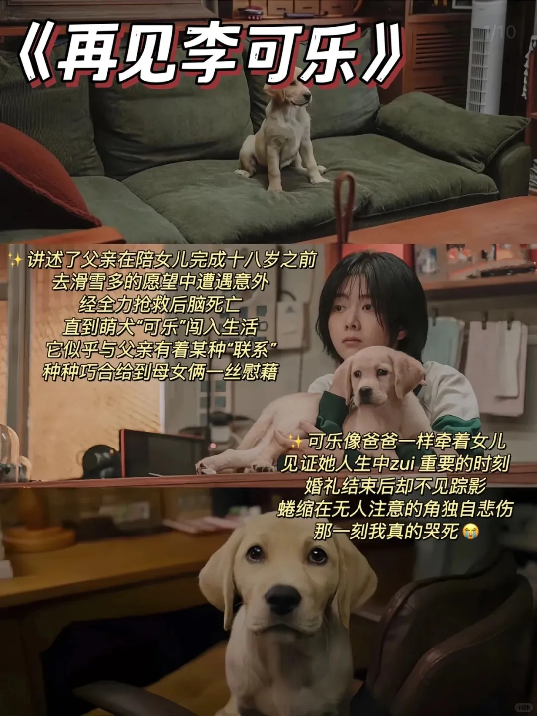 泪崩😭😭😭 看之前没想到会哭成这样