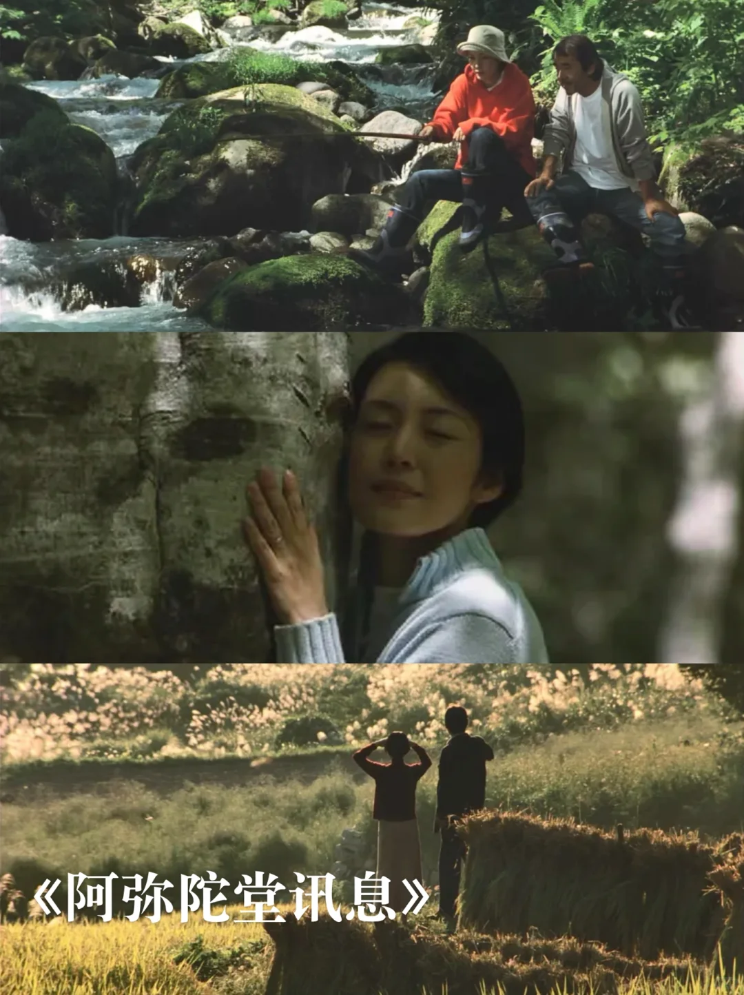 12部适合夏天宅家看的美学治yu电影