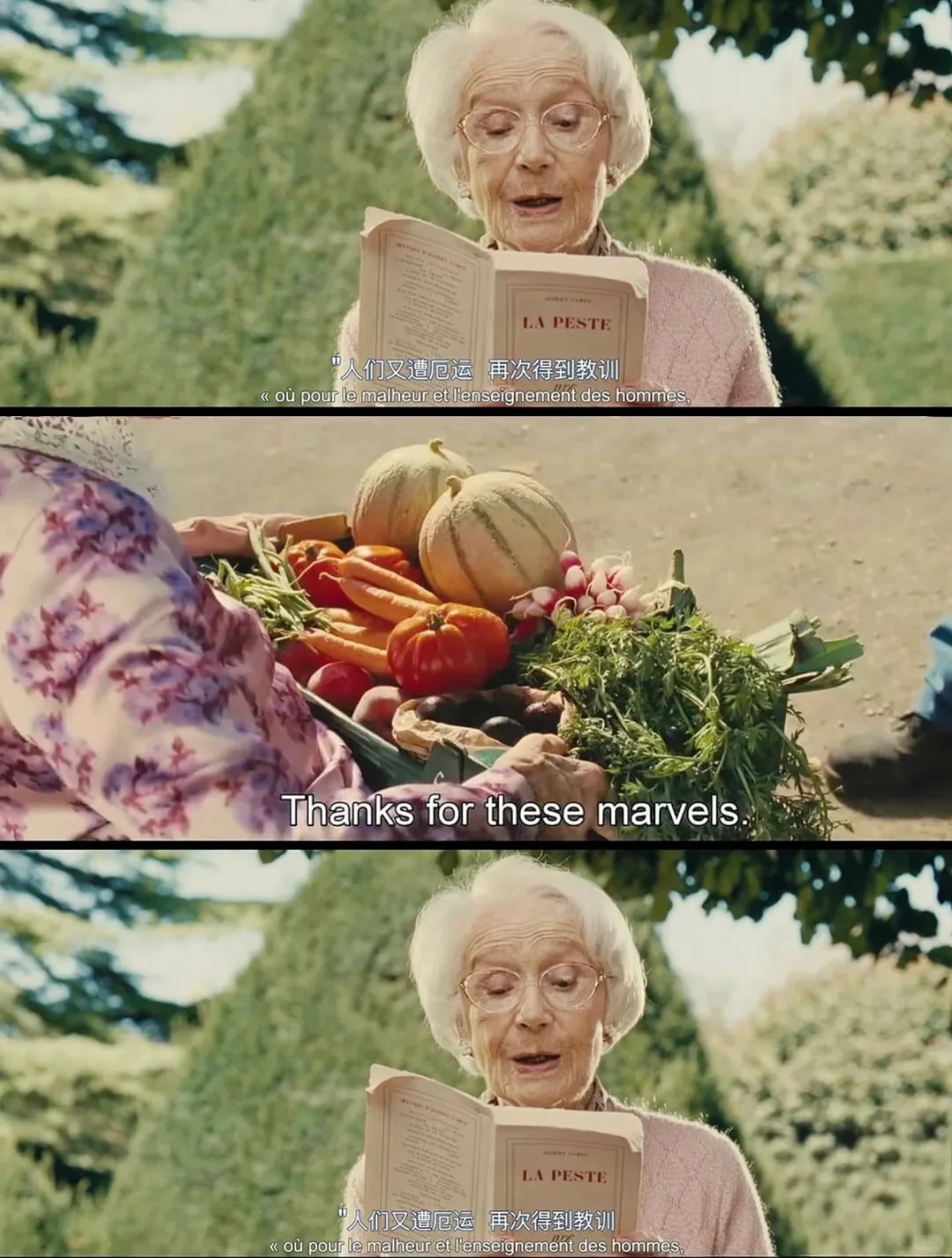 9.9分神作❗️这部治愈电影让我哭成狗🐶 💖